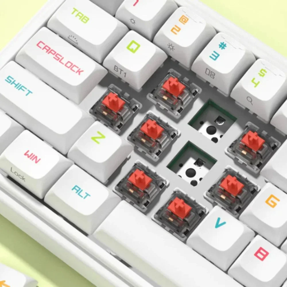 Dustsilver D66 Rainbow Sprinkles Wireless 65% layout Hot Swappable RGB Keyboard